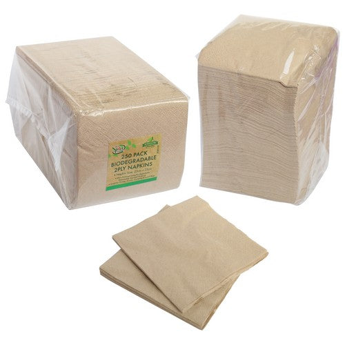 Biodegradable Paper Napkin 2 Ply - 23x23cm 250 Pack 1 Piece - Dollars and Sense