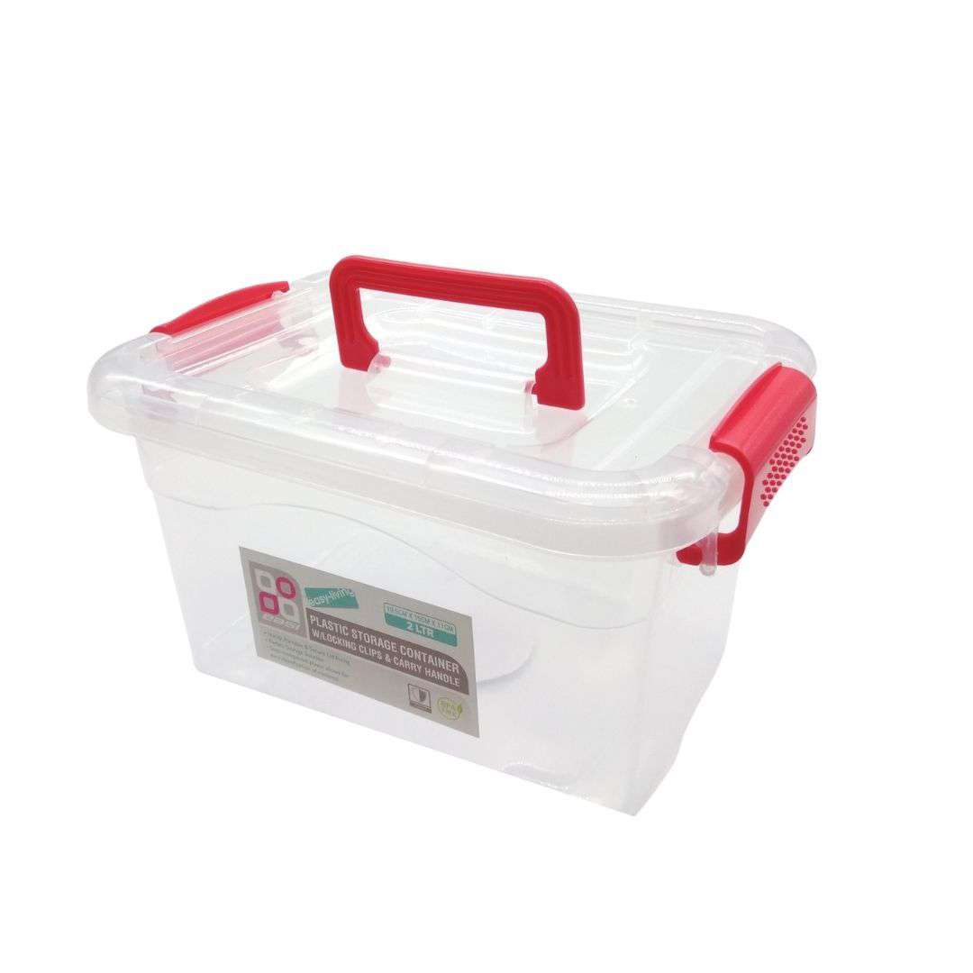 Plastic Storage Container with Clips & Carry Handle 2L - Dollars and Sense