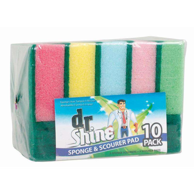 Sponge Scourer Pad - Dollars and Sense