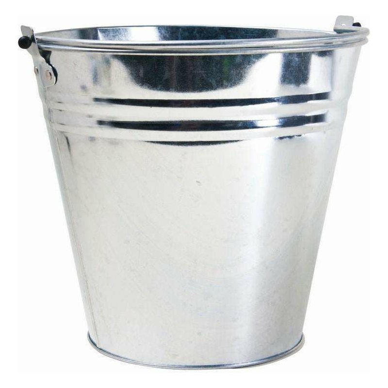 Bucket Galvanized 10L - Dollars and Sense