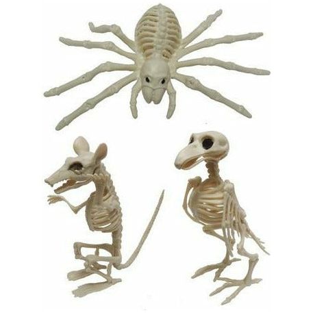 Skeleton Animal - 20cm Assorted 1 Piece - Dollars and Sense