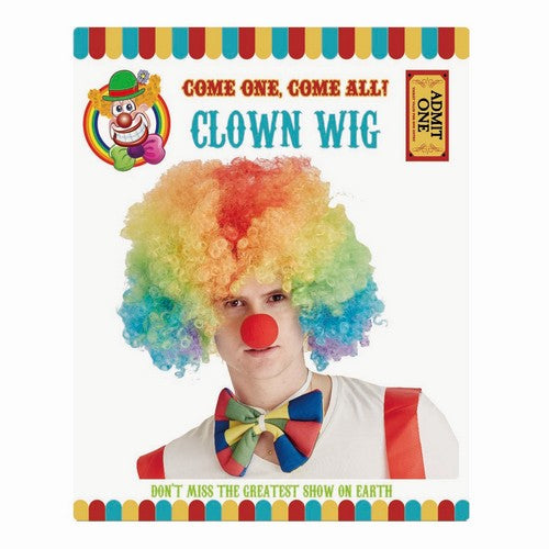 Clown Wig Afro - 1 Piece - Dollars and Sense