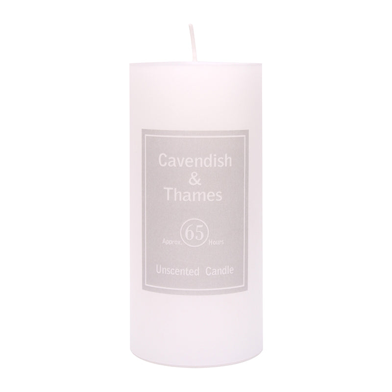 Unscented White Pillar Candle - Dollars and Sense
