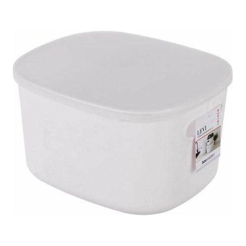 Levi Storage Container with Lid 26.5X22X15cm - Dollars and Sense