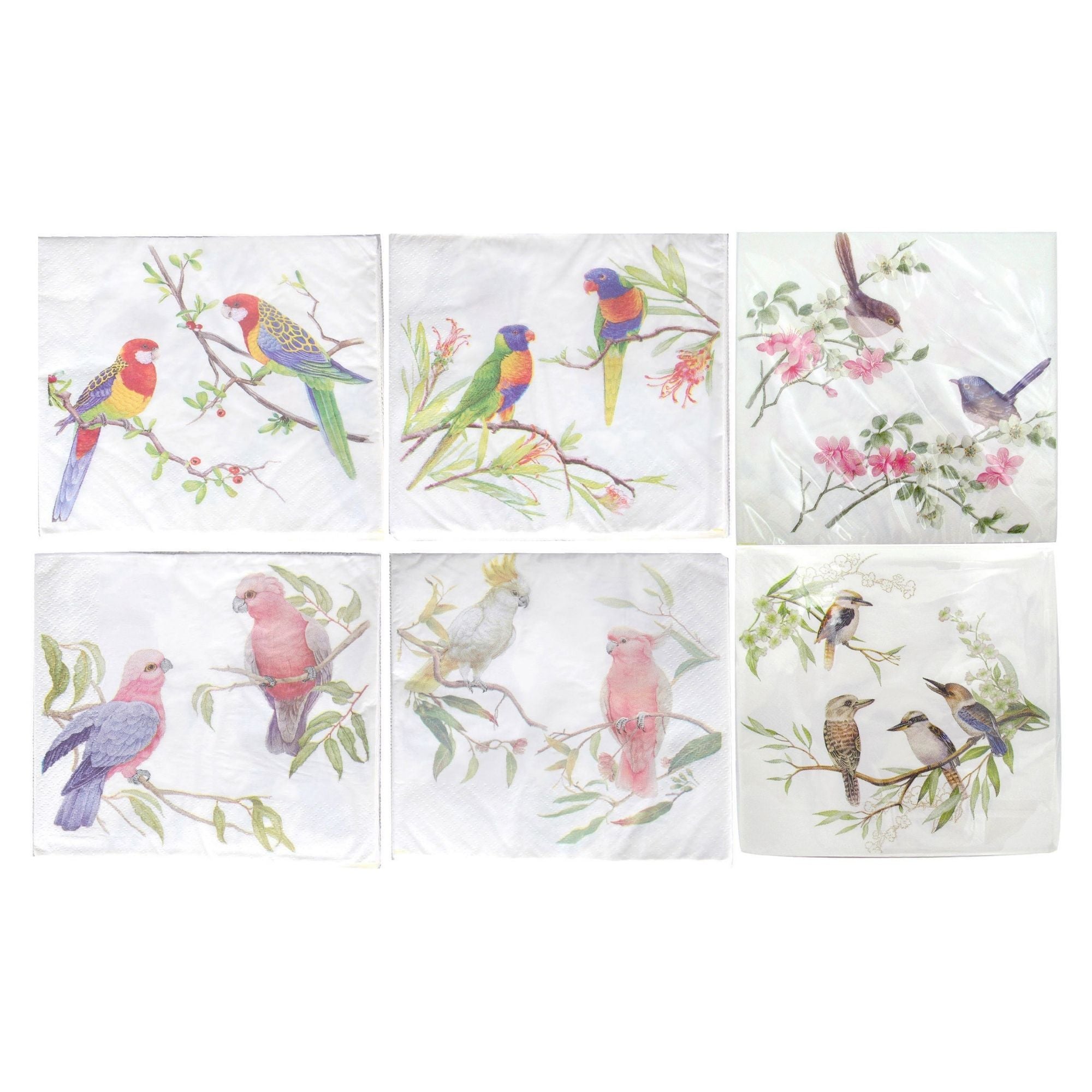 Birds Napkins 20 Pack - 33x33cm 1 Piece Assorted - Dollars and Sense