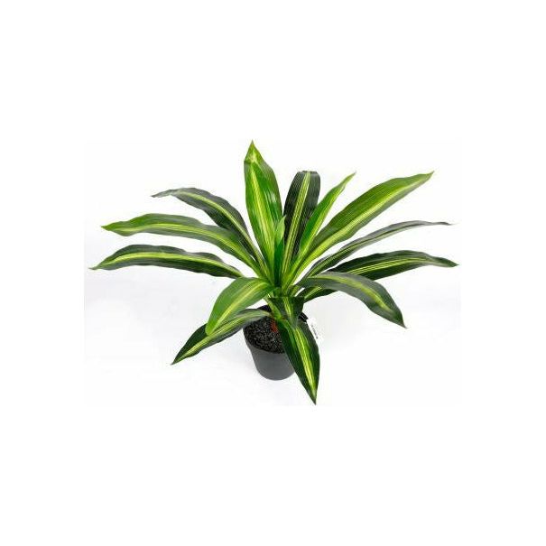 Dracaena Artificial Plant - 40cm - Dollars and Sense