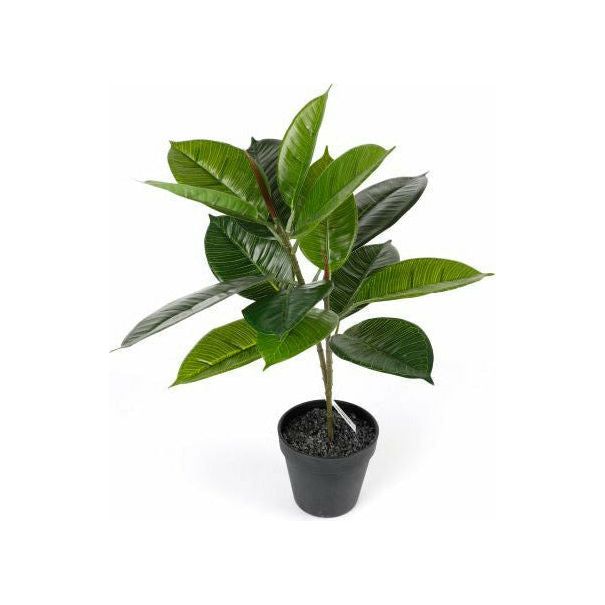 Rubber Tree Artificial Plant - 36cm - Dollars and Sense